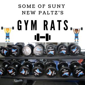 Life of a gym rat 