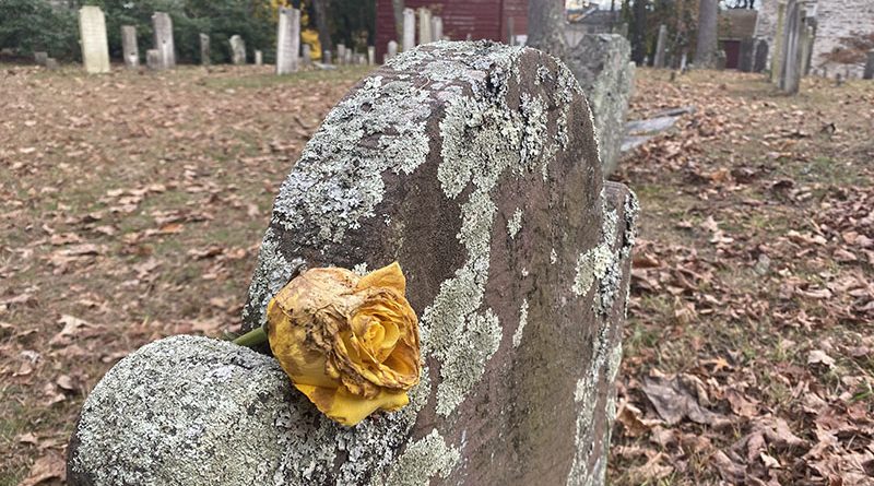 Flower on a grave at Haunted Hugeunot Graveyard. Photo captured by Emma Misiaszek