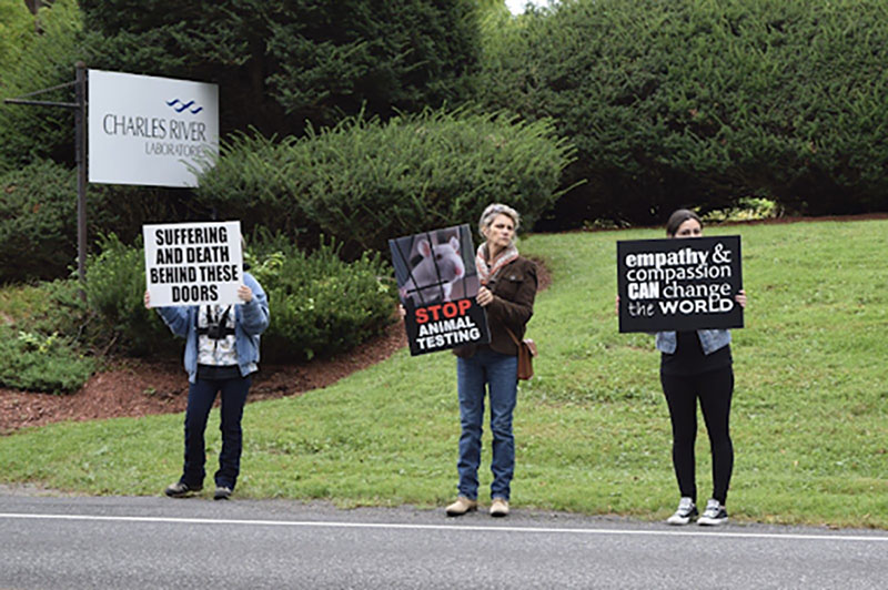 Activists Protest Animal Testing in Kingston, NY