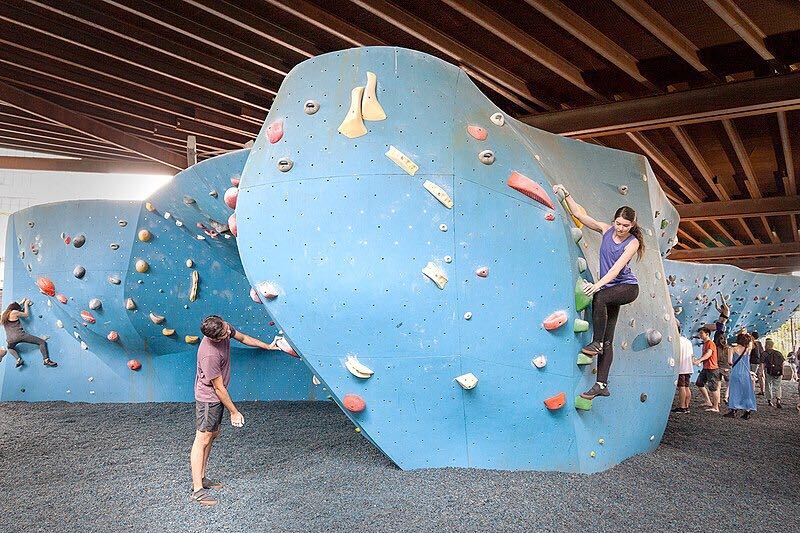 A Sport To Reach For: What Bouldering Is, and Why You Should Start Climbing